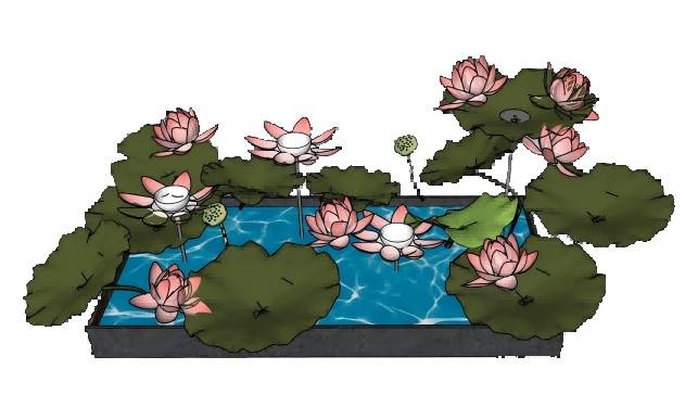 荷花池景观水池的su模型 SU模型免费下载_sketchup模型