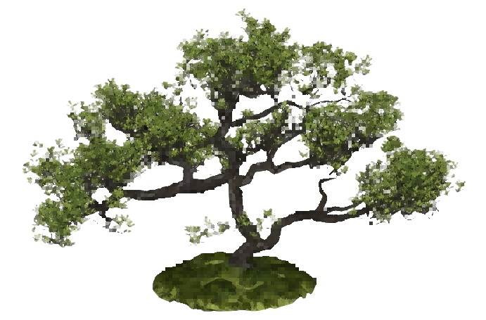 庭院景观树su模型 SU模型免费下载_sketchup模型