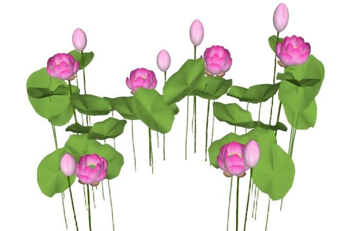 荷花荷叶景观su模型 SU模型免费下载_sketchup模型