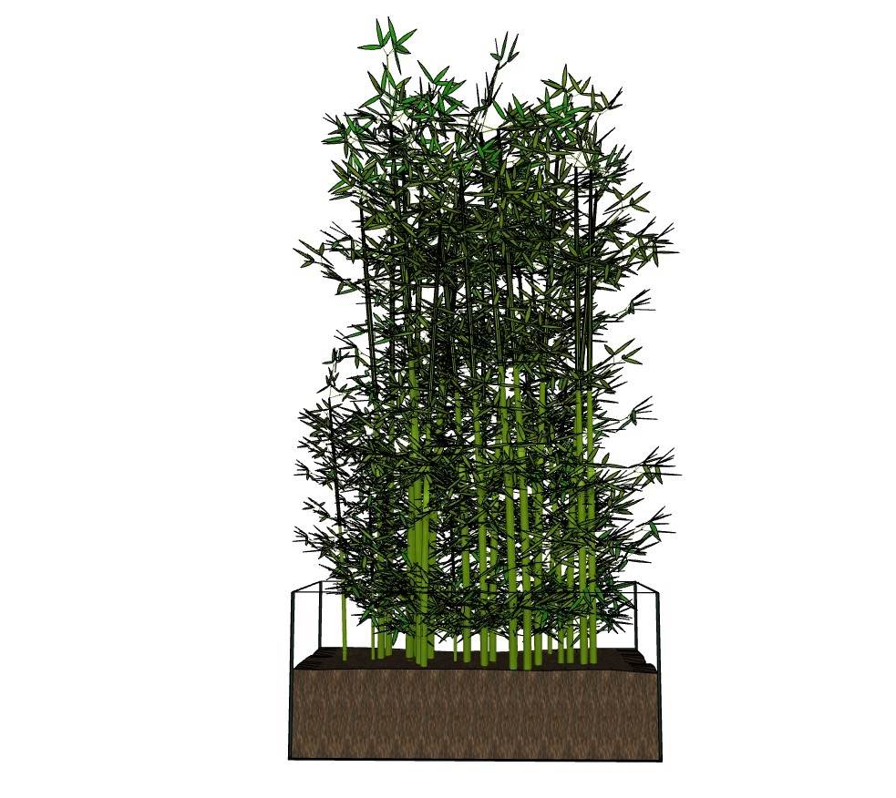 景观竹子竹堆su模型 SU模型免费下载_sketchup模型