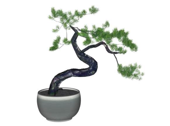 盆栽盆景植物su模型 SU模型免费下载_sketchup模型