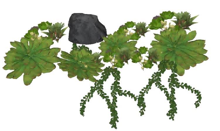 多肉植物系列su模型 SU模型免费下载_sketchup模型