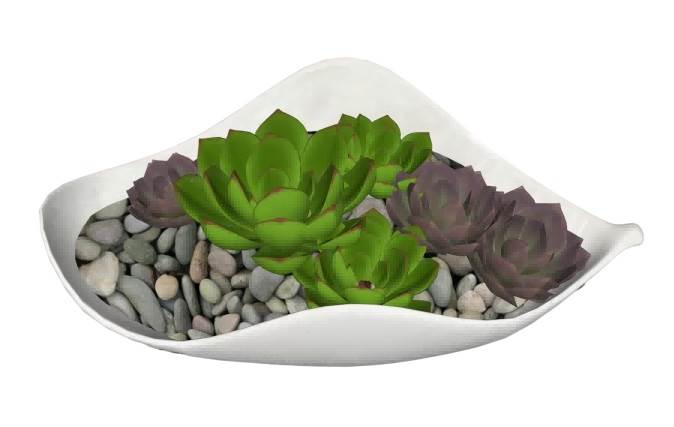 多肉植物摆件su模型 SU模型免费下载_sketchup模型