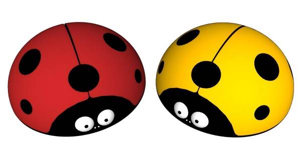 儿童卡通七星瓢虫su模型 SU模型免费下载_sketchup模型