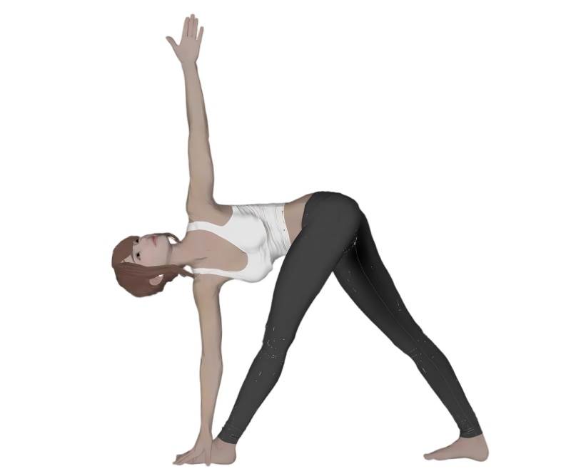 瑜伽锻炼女人人物SU模型 SU模型免费下载_sketchup模型