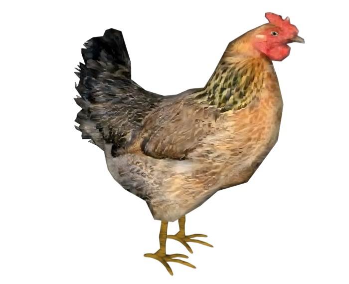 家禽鸡动物SU模型 SU模型免费下载_sketchup模型