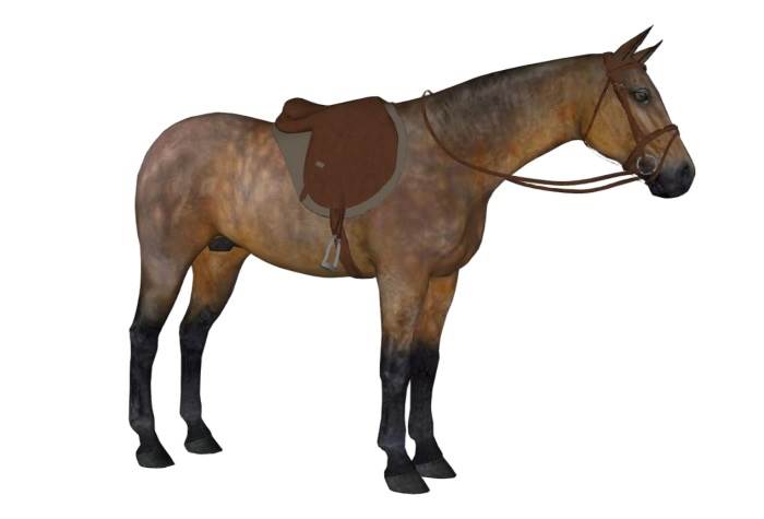 棕色马动物SU模型 SU模型免费下载_sketchup模型