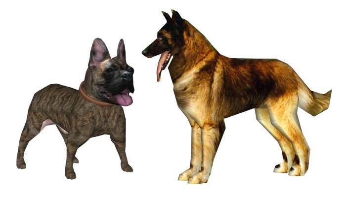 斗牛犬和狼狗动物SU模型 SU模型免费下载_sketchup模型