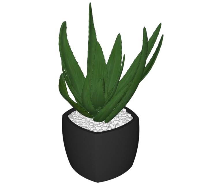 芦荟花盆植物SU模型 SU模型免费下载_sketchup模型