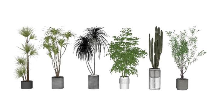 多个盆栽花盆植物SU模型 SU模型免费下载_sketchup模型