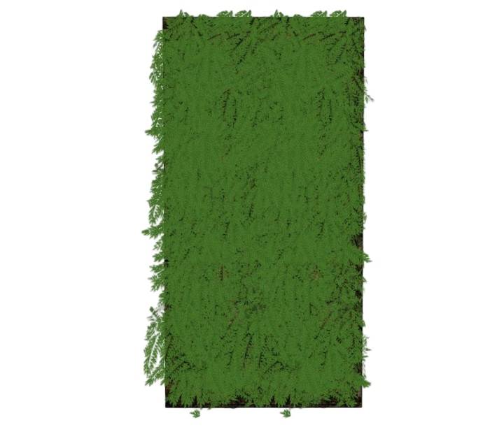 绿植墙垂直绿化植物SU模型 SU模型免费下载_sketchup模型