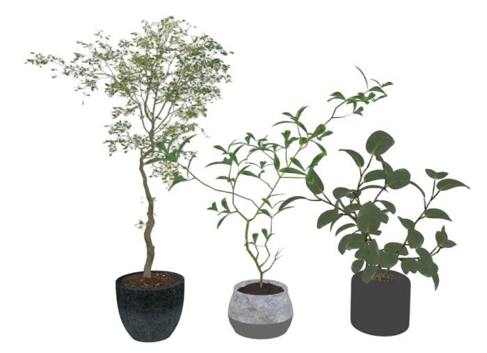 花盆摆件植物SU模型 SU模型免费下载_sketchup模型