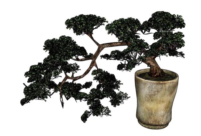 盆景盆栽松树植物SU模型 SU模型免费下载_sketchup模型