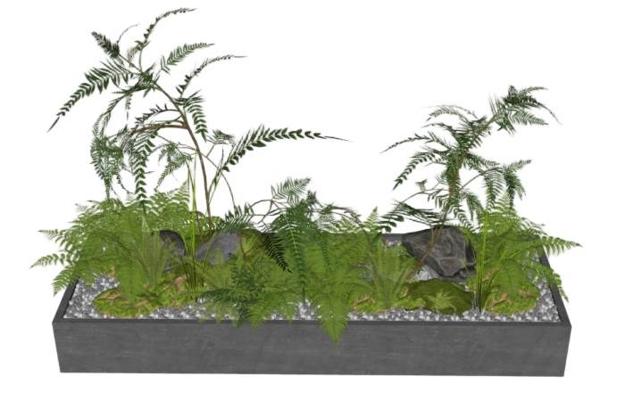蕨类花坛植物花圃景观SU模型 SU模型免费下载_sketchup模型