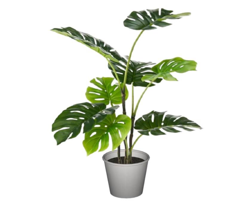 龟背竹花盆植物SU模型 SU模型免费下载_sketchup模型