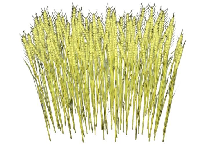 稻穗灯景观灯景观SU模型 SU模型免费下载_sketchup模型