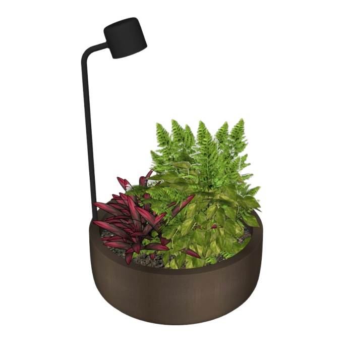 绿植植物观察灯装饰SU模型 SU模型免费下载_sketchup模型