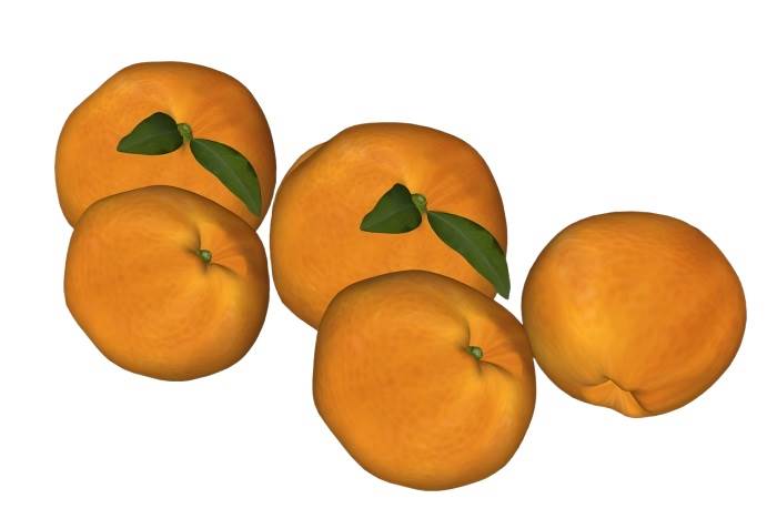 柑橘子水果装饰SU模型 SU模型免费下载_sketchup模型