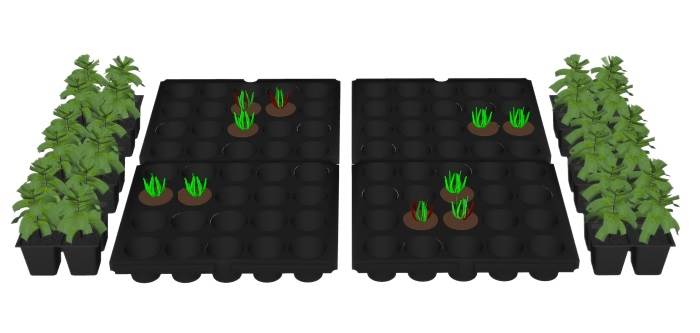 园艺育苗穴盘苗营养杯装饰SU模型 SU模型免费下载_sketchup模型