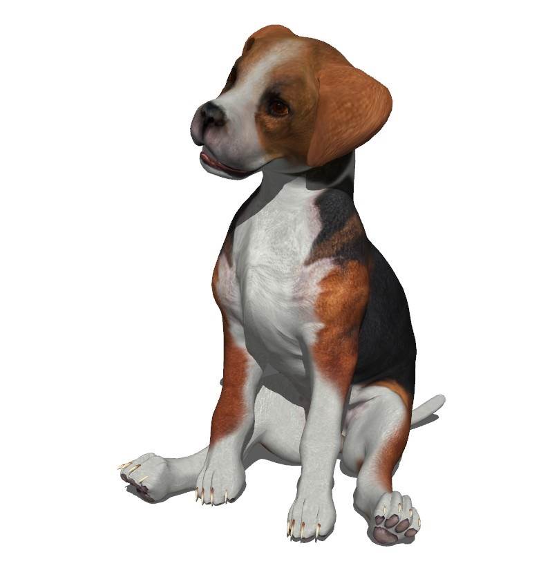 可爱的宠物狗动物动物SU模型 SU模型免费下载_sketchup模型