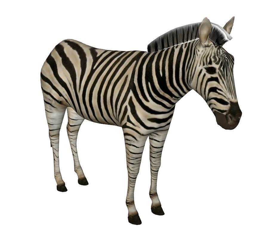 3D斑马动物动物SU模型 SU模型免费下载_sketchup模型