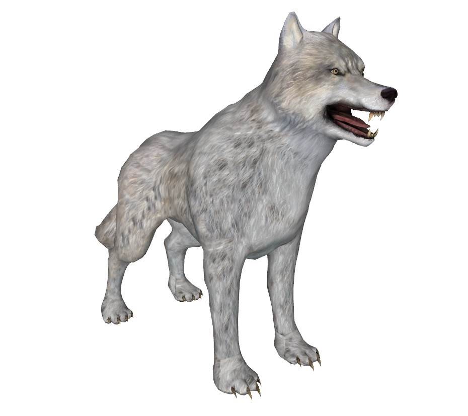 猛兽大灰狼动物动物SU模型 SU模型免费下载_sketchup模型