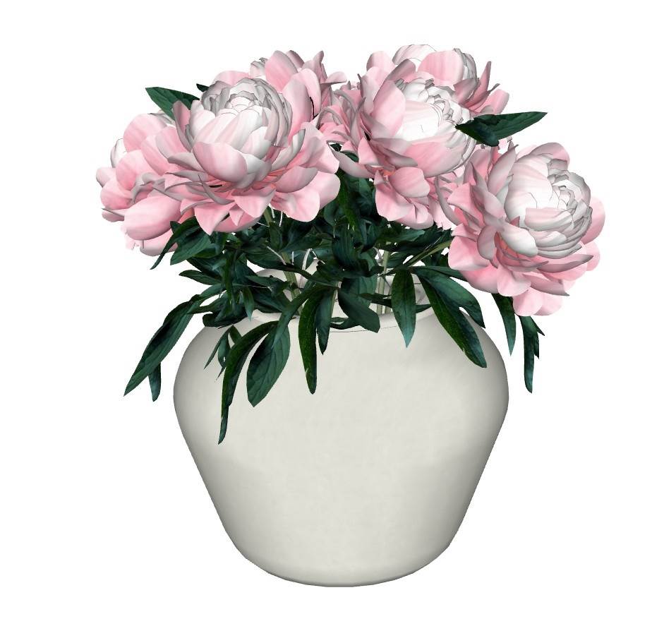 花瓶与芍药花束装饰SU模型 SU模型免费下载_sketchup模型