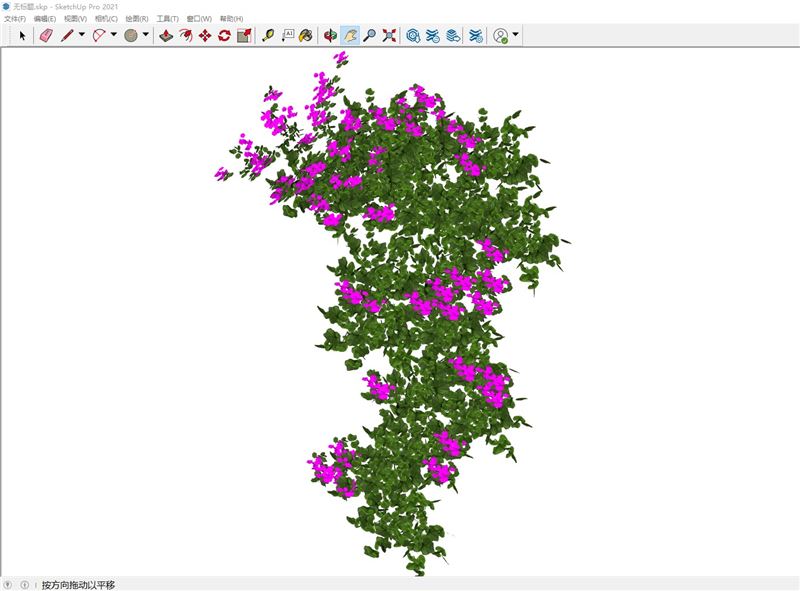 三角梅爬藤植物植物SU模型 SU模型免费下载_sketchup模型