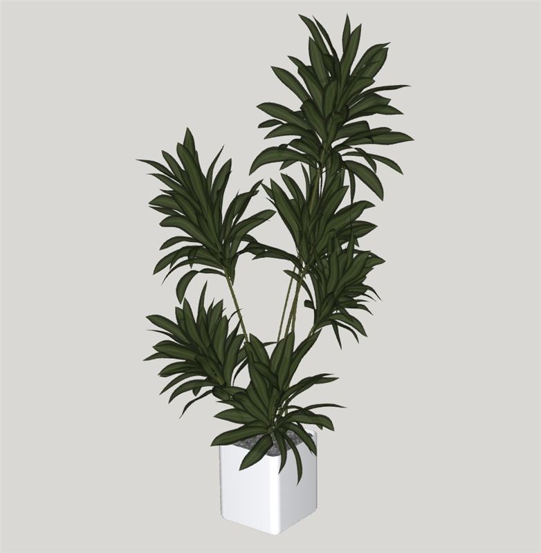 室内绿植盆栽植物SU模型 SU模型免费下载_sketchup模型