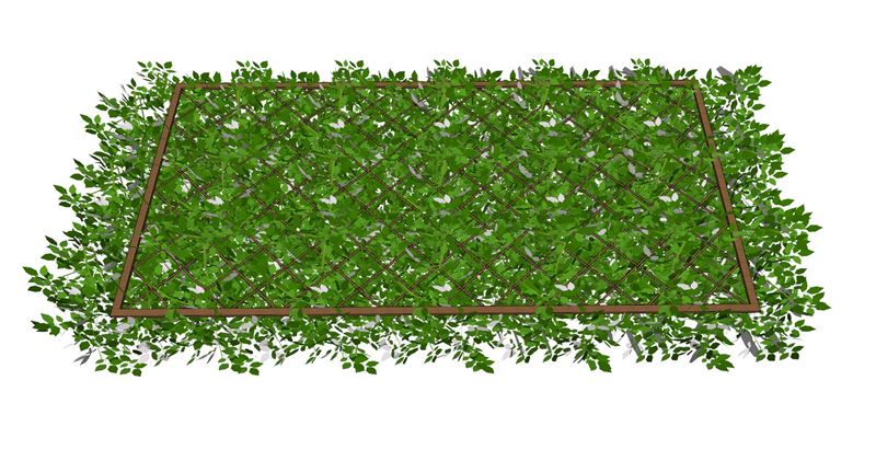 格栅绿植吊顶装饰SU模型 SU模型免费下载_sketchup模型