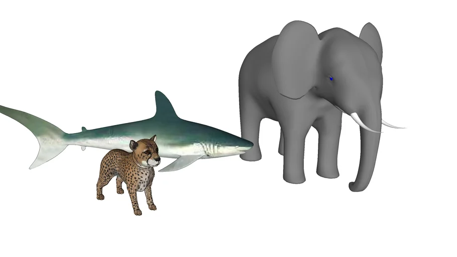 大象鲨鱼豹子动物组合SU模型 SU模型免费下载_sketchup模型