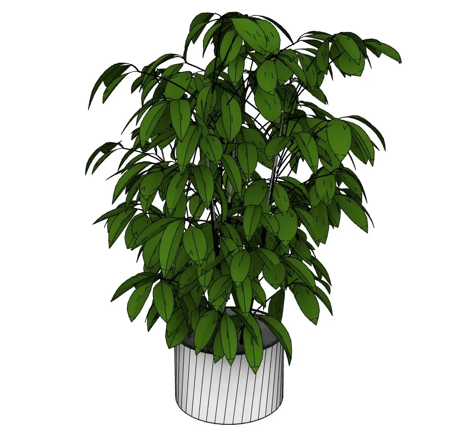 室内绿植盆栽SU模型 SU模型免费下载_sketchup模型