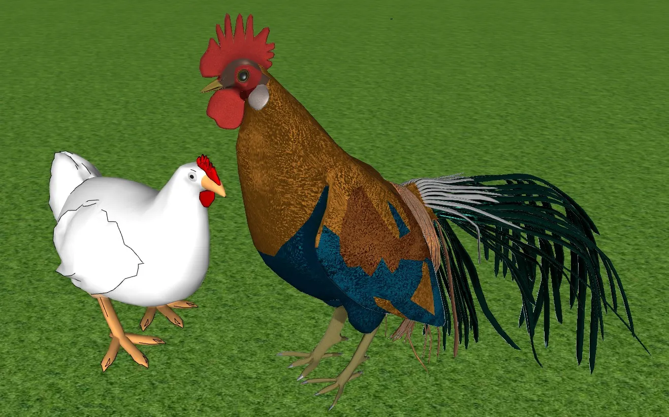 公鸡母鸡家禽组合SU模型 SU模型免费下载_sketchup模型