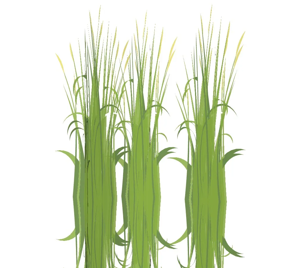 水下景观水草组合SU模型 SU模型免费下载_sketchup模型