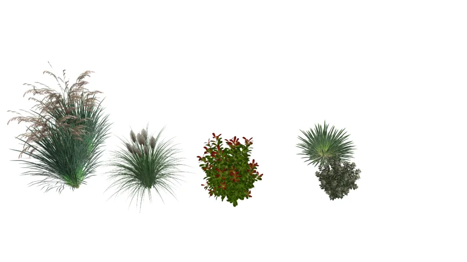 观赏草与灌木水生植物SU模型 SU模型免费下载_sketchup模型