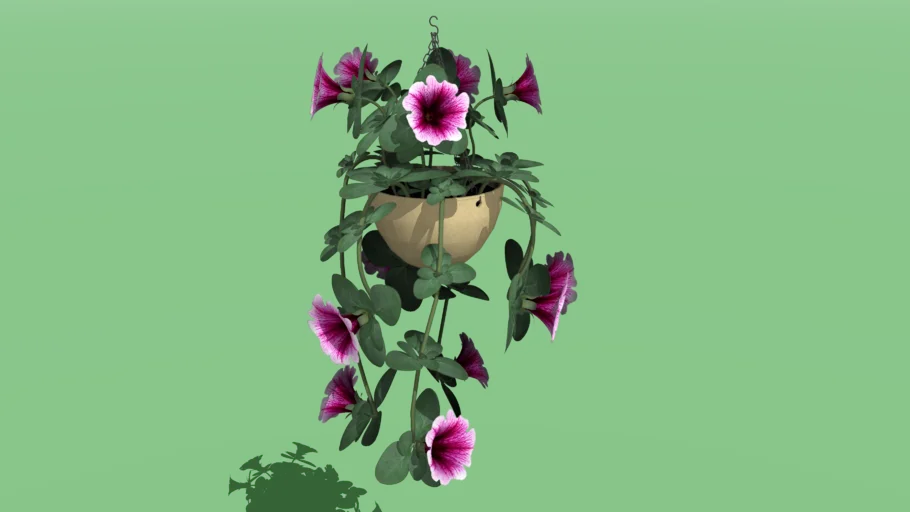 垂吊矮牵牛花篮SU模型 SU模型免费下载_sketchup模型