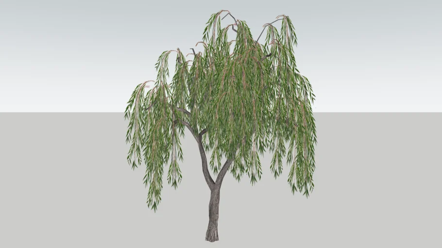 园林垂柳树SU模型 SU模型免费下载_sketchup模型