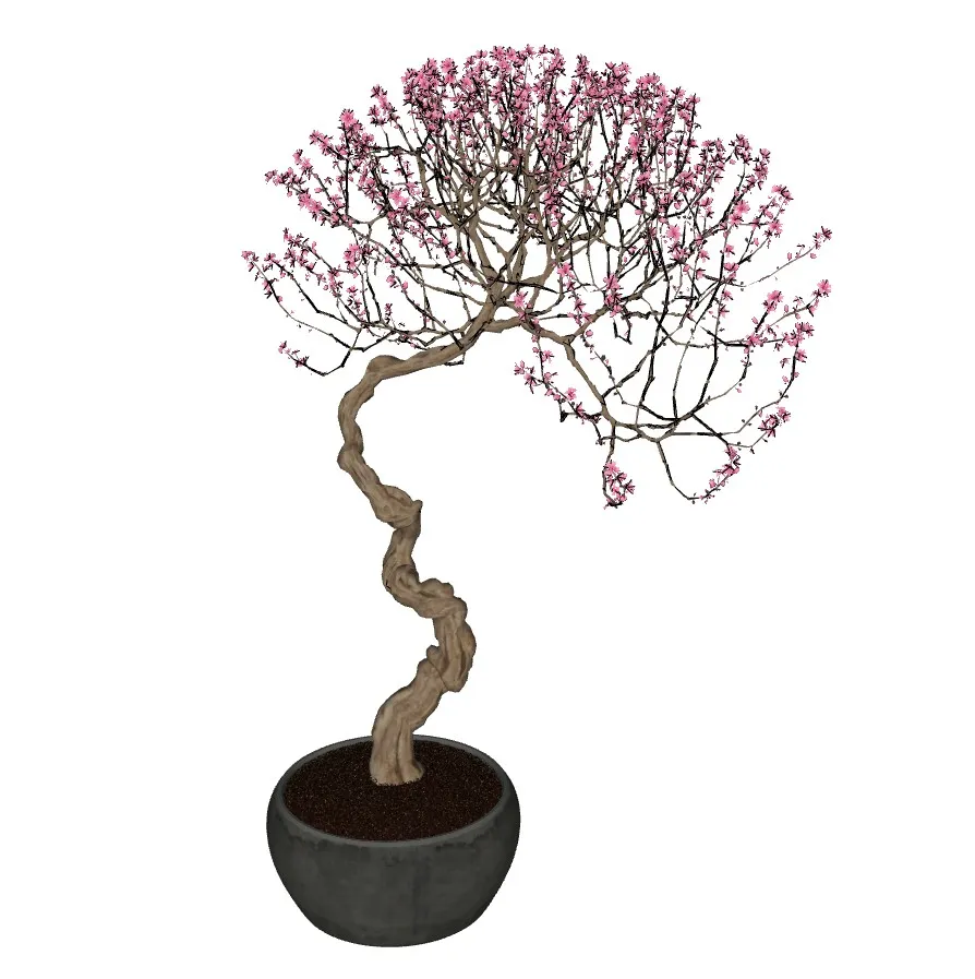 桃花盆栽植物SU模型 SU模型免费下载_sketchup模型