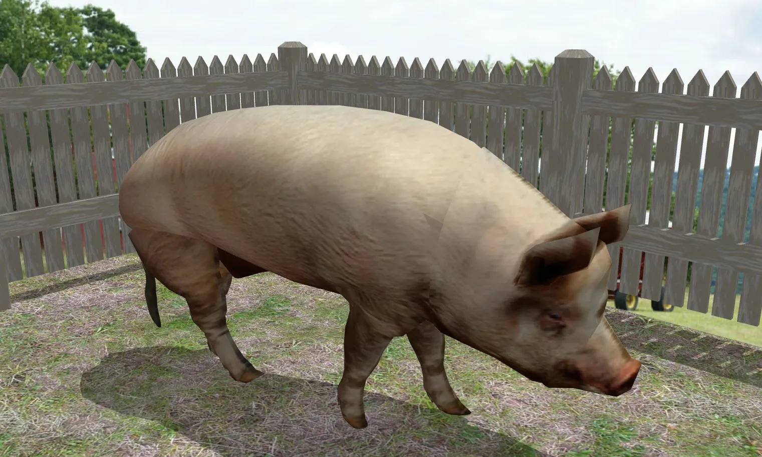 家养的动物猪 SU模型免费下载_sketchup模型