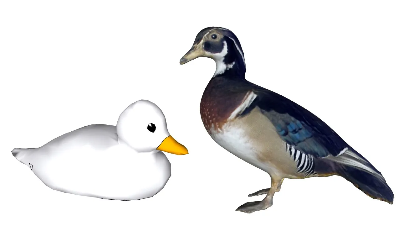 水禽双鸭子动物组合SU模型 SU模型免费下载_sketchup模型