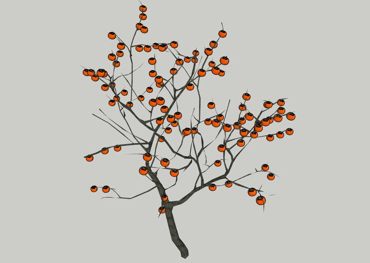 硕果柿子树SU模型 SU模型免费下载_sketchup模型