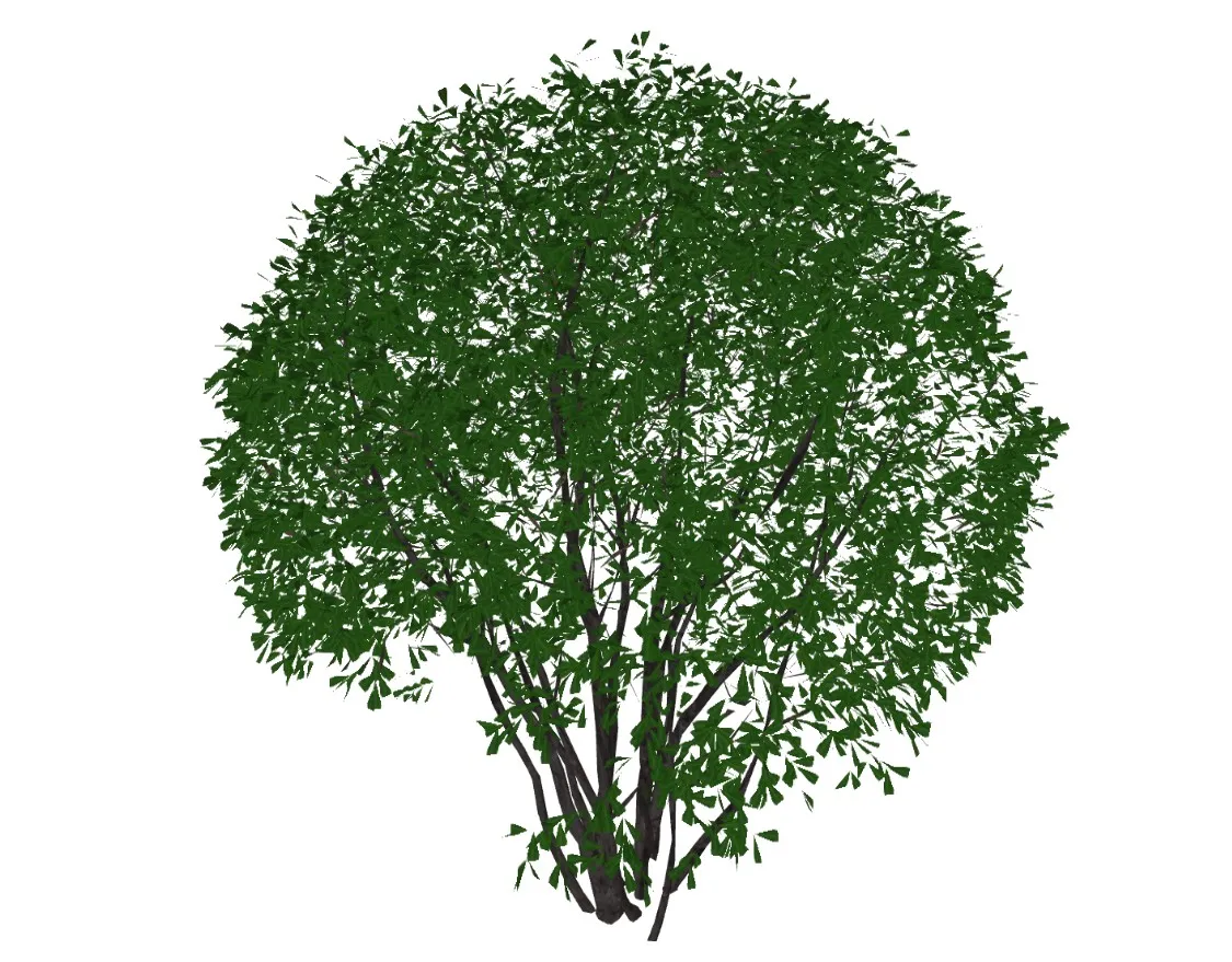 球形景观灌木绿篱绿植冬青SU模型 SU模型免费下载_sketchup模型