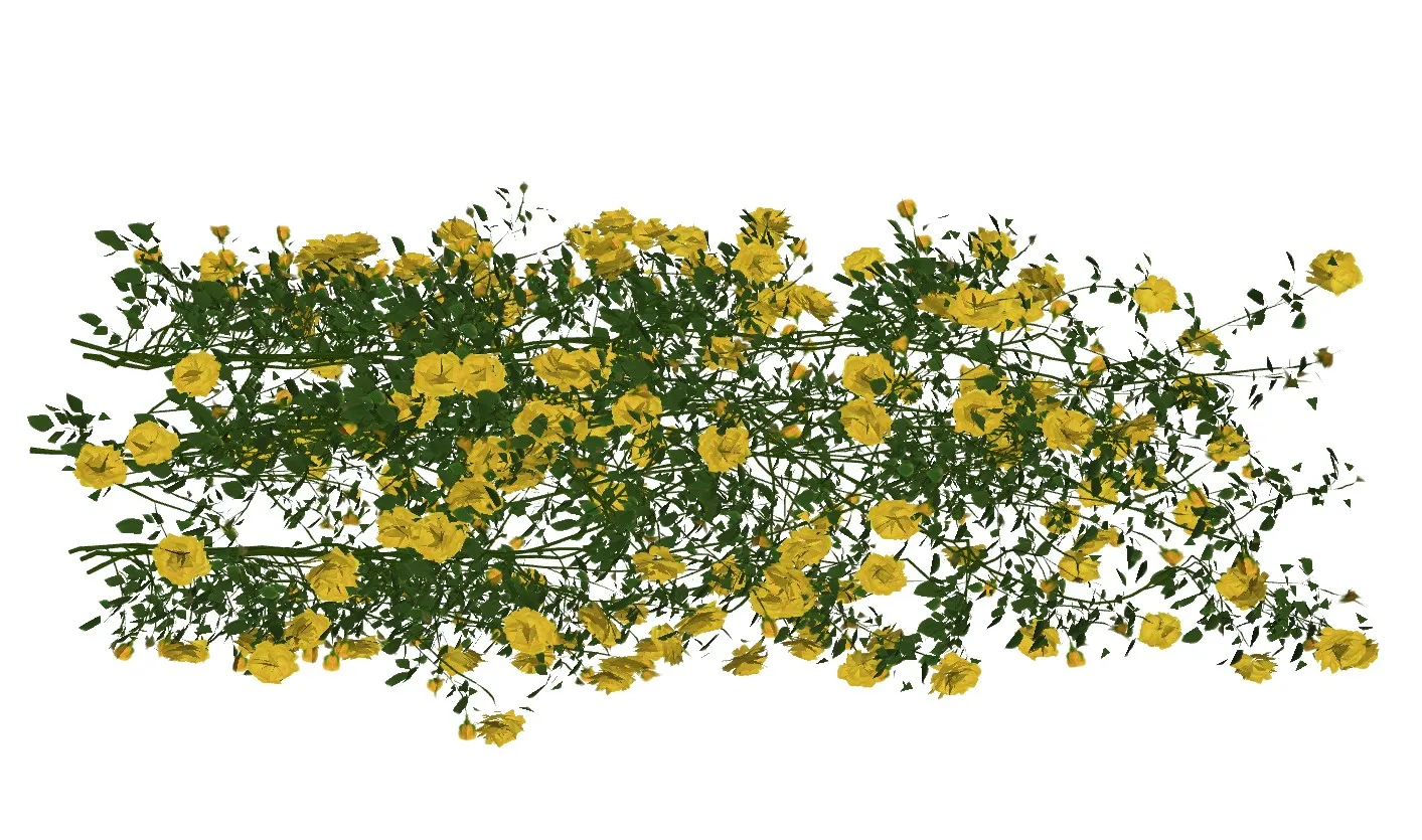 黄色爬藤蔓藤花卉SU模型 SU模型免费下载_sketchup模型