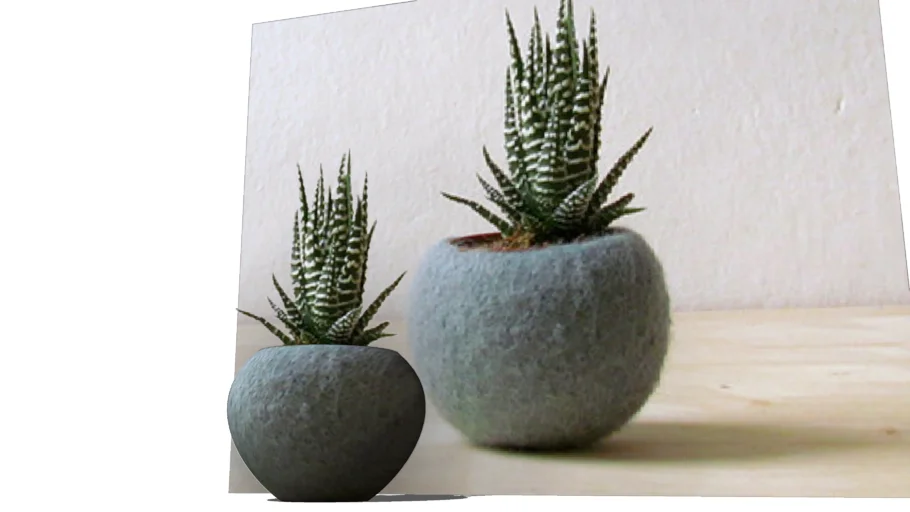 水泥球形花罐植物SU模型 SU模型免费下载_sketchup模型