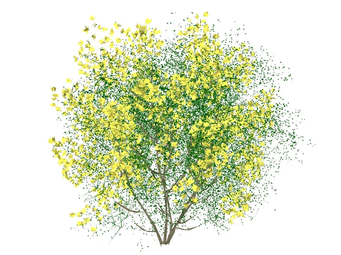 黄花观花灌木花丛SU模型 SU模型免费下载_sketchup模型