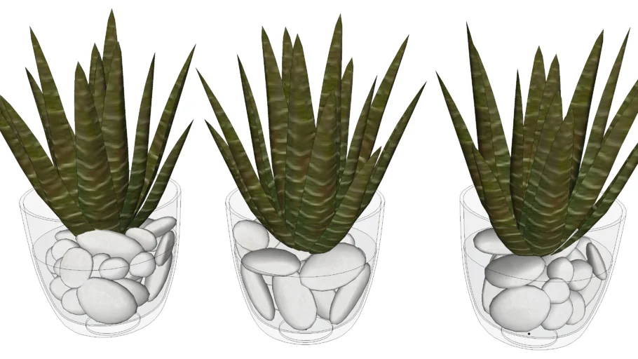桌面植物芦荟盆栽SU模型 SU模型免费下载_sketchup模型