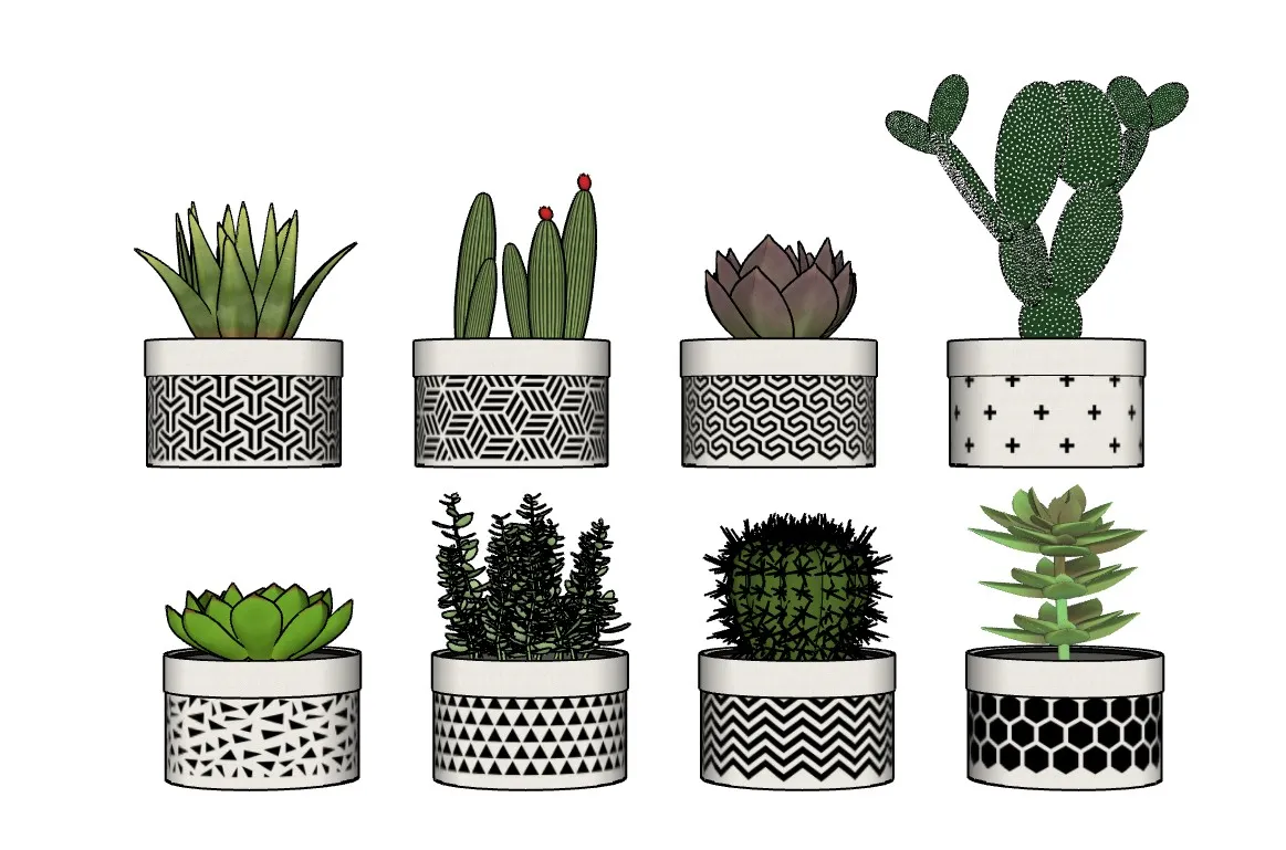 桌面植物多肉盆栽SU模型 SU模型免费下载_sketchup模型