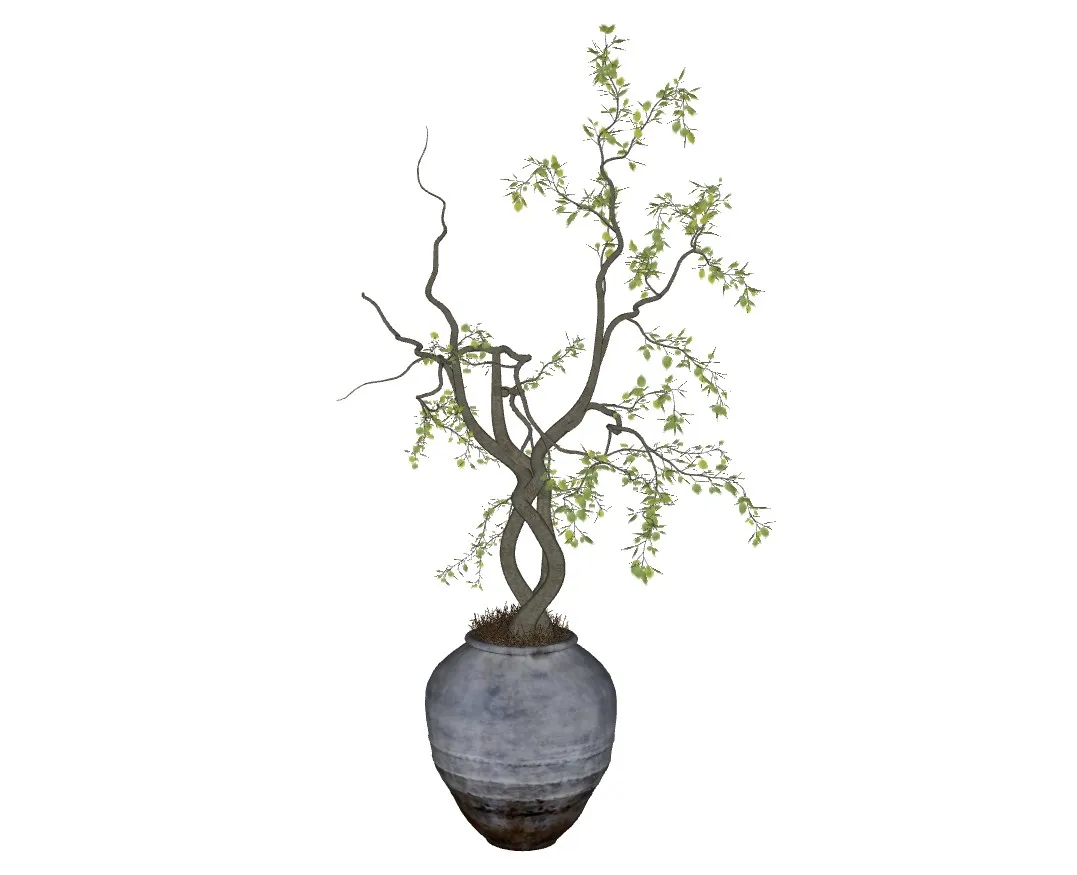 新中式陶罐绿植盆栽SU模型 SU模型免费下载_sketchup模型