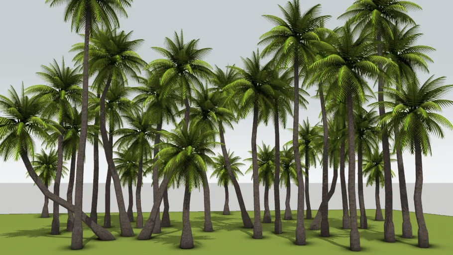 热带椰子树林景观SU模型 SU模型免费下载_sketchup模型