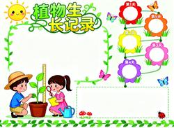 手抄报：植物生长记录